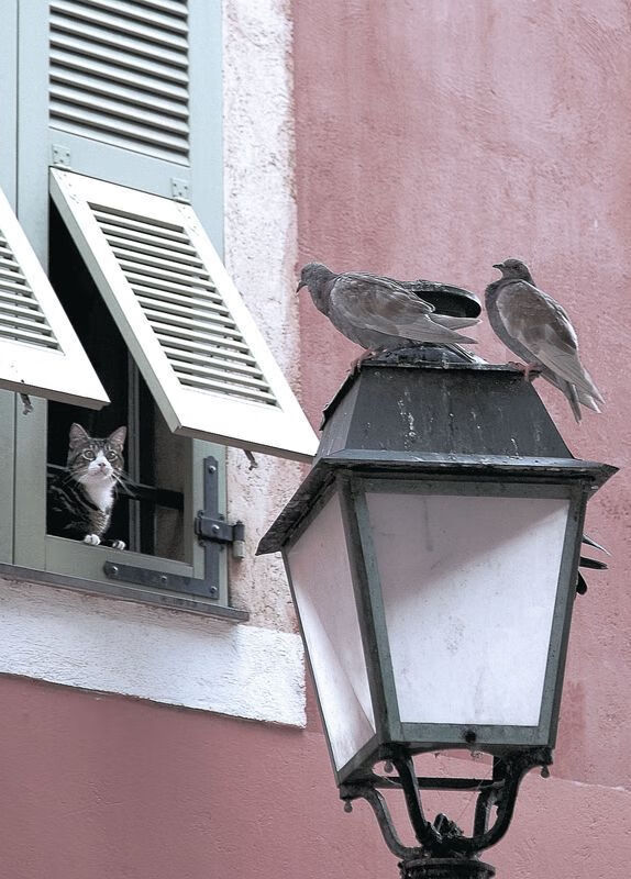 体育新闻中心深化体育媒体与科技公司战略合作，体育市场媒体